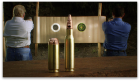 Birchwood Casey - Talking Bullets
